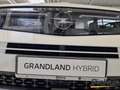 Opel Grandland 1.2 48V MHEV Edition, SHZ, LHZ, PDC, elektr. Heckk Weiß - thumbnail 12