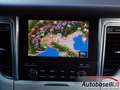 Porsche Macan 2.0 252CV AUTOMATICA PDK, TETTUCCIO, CERCHI 20'' Grigio - thumbnail 9
