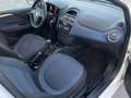 Fiat Punto Evo Punto Evo 5p 1.4 natural power Emotion 70cv Blanc - thumbnail 18
