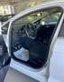 Ford Fiesta Fiesta 1.5 EcoBlue 5 porte Titanium Blanc - thumbnail 4