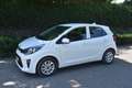 Kia Picanto 1.0 MPi DynamicLine | NAVI | CAMERA | LMV Wit - thumbnail 2