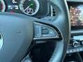 Skoda Kodiaq Style 2,0 TSI 4x4 132 kW 7-Gang DSG Navi Leder 360 Beige - thumbnail 21