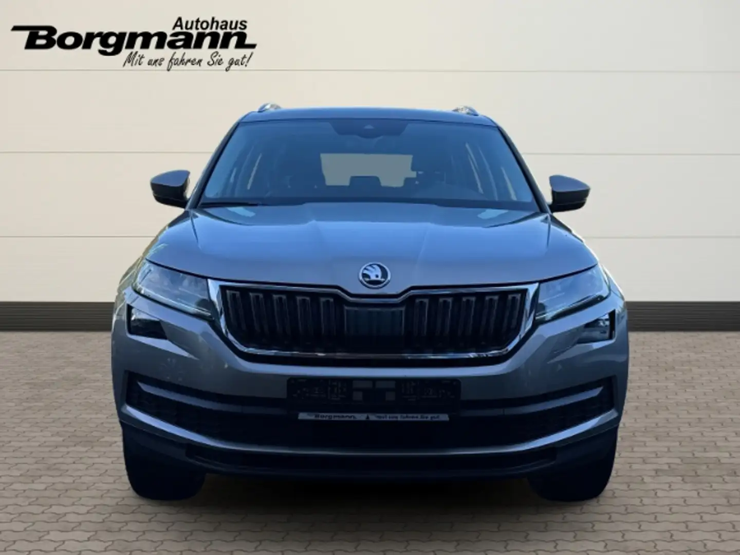 Skoda Kodiaq Style 2,0 TSI 4x4 132 kW 7-Gang DSG Navi Leder 360 Beige - 2