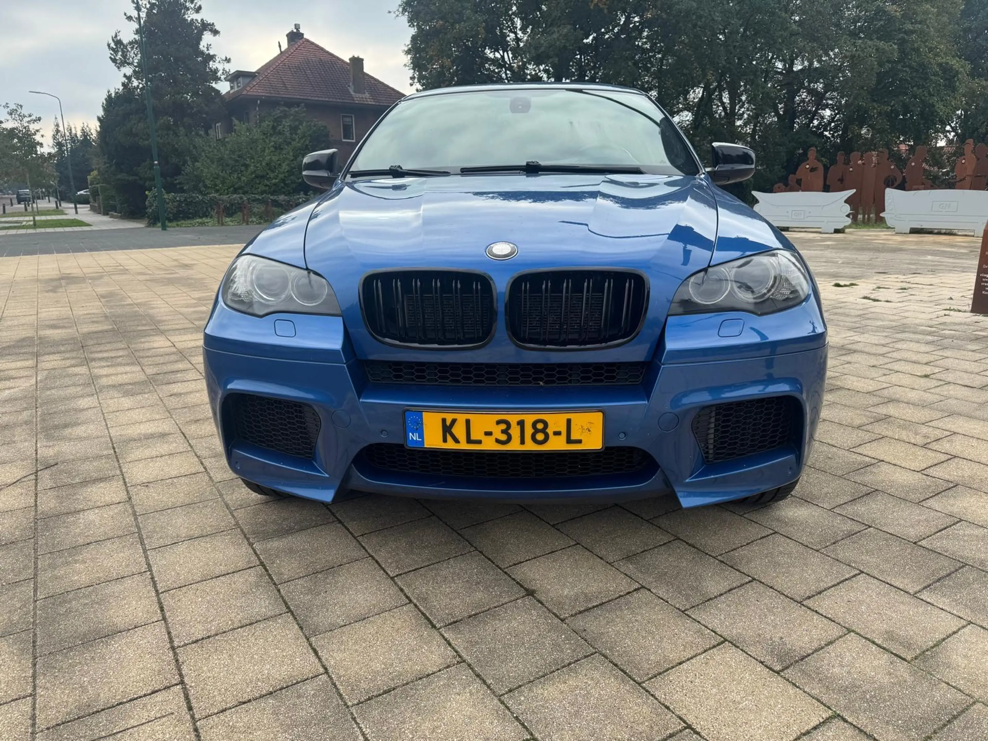 BMW X6 4.4i M — photo 7