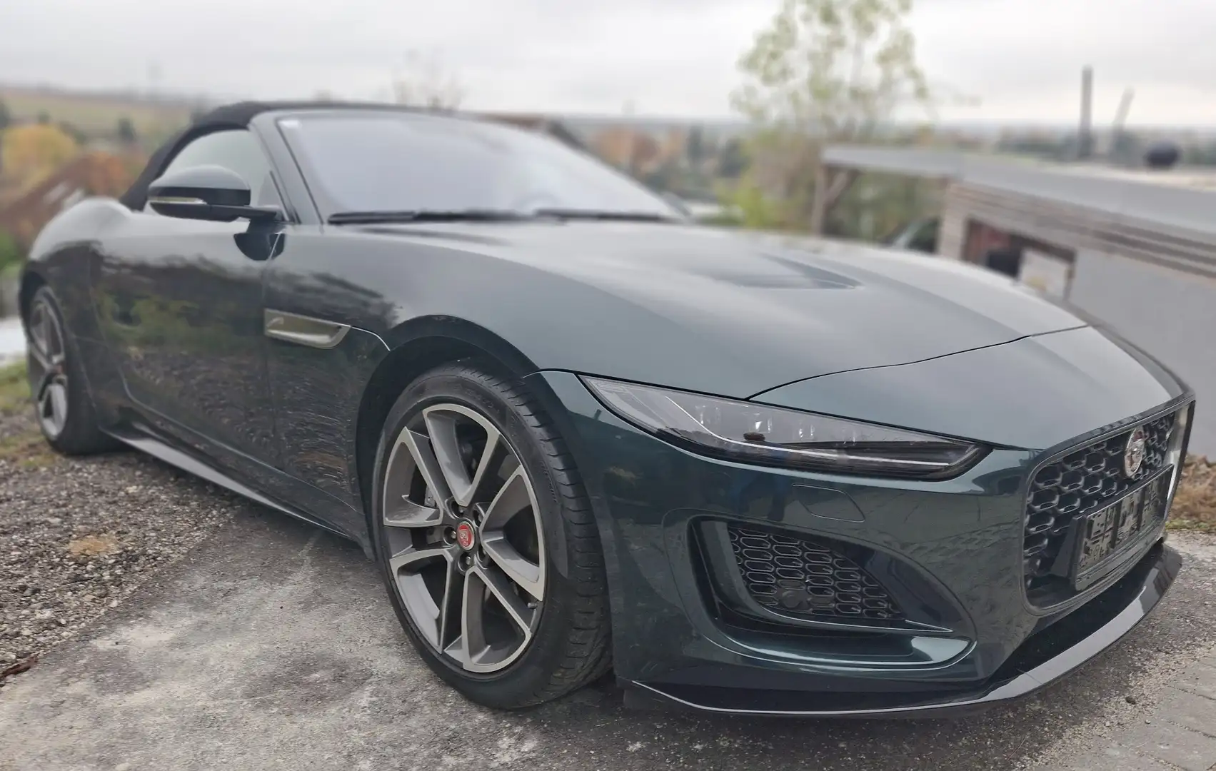 Jaguar E-Type Dynamic-Convert Grün - 1