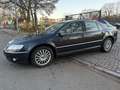 Volkswagen Phaeton V6 TDI 4Motion Schwarz - thumbnail 11