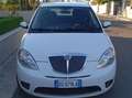 Lancia Y 1200 benzina anno 2008 Alb - thumbnail 4