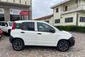 Fiat Panda 0.9 t.air t. natural power Easy 80cv E6 Bianco - thumbnail 2