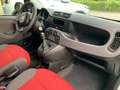 Fiat Panda 0.9 t.air t. natural power Easy 80cv E6 Bianco - thumbnail 12