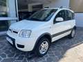 Fiat Panda 1.3 mjt 16v Climbing 4x4 75cv BELLISSIMA Wit - thumbnail 1
