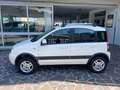 Fiat Panda 1.3 mjt 16v Climbing 4x4 75cv BELLISSIMA Wit - thumbnail 3