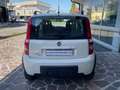Fiat Panda 1.3 mjt 16v Climbing 4x4 75cv BELLISSIMA Wit - thumbnail 4