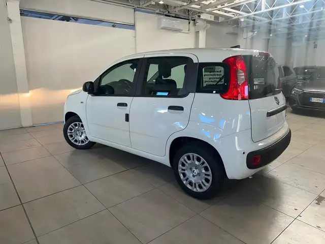 Fiat Panda view 2