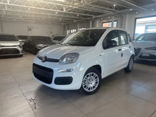 Fiat Panda view 4