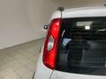 Fiat Panda Panda 1.0 firefly hybrid (Red) s Weiß - thumbnail 5