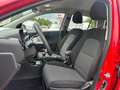 Kia Picanto 1.0 DPI MT Vision Bestellfahrzeug Rot - thumbnail 13