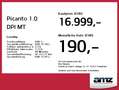 Kia Picanto 1.0 DPI MT Vision Bestellfahrzeug Rot - thumbnail 4