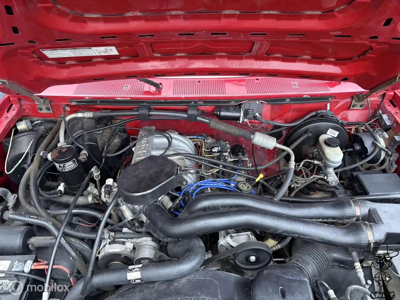 Ford F 150 USA pickup single cab 4x4, foto 10