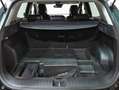 Kia Sportage 1.6 T-GDi 110kW (150CV) MHEV Tech 4x2 Verde - thumbnail 43
