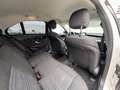 Mercedes-Benz C 220 d 4MATIC Austria Edition Aut. Weiß - thumbnail 13