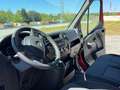 Opel Movano Rot - thumbnail 10