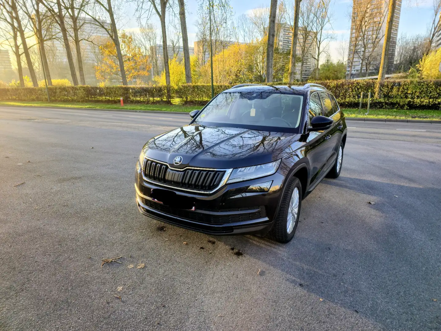 Skoda Kodiaq 2.0 CR TDi Clever DSG - 1