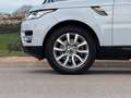 Land Rover Range Rover Sport 3.0SDV6 HSE Dynamic Aut. 249 Blanc - thumbnail 7