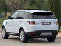 Land Rover Range Rover Sport 3.0SDV6 HSE Dynamic Aut. 249 Blanc - thumbnail 8