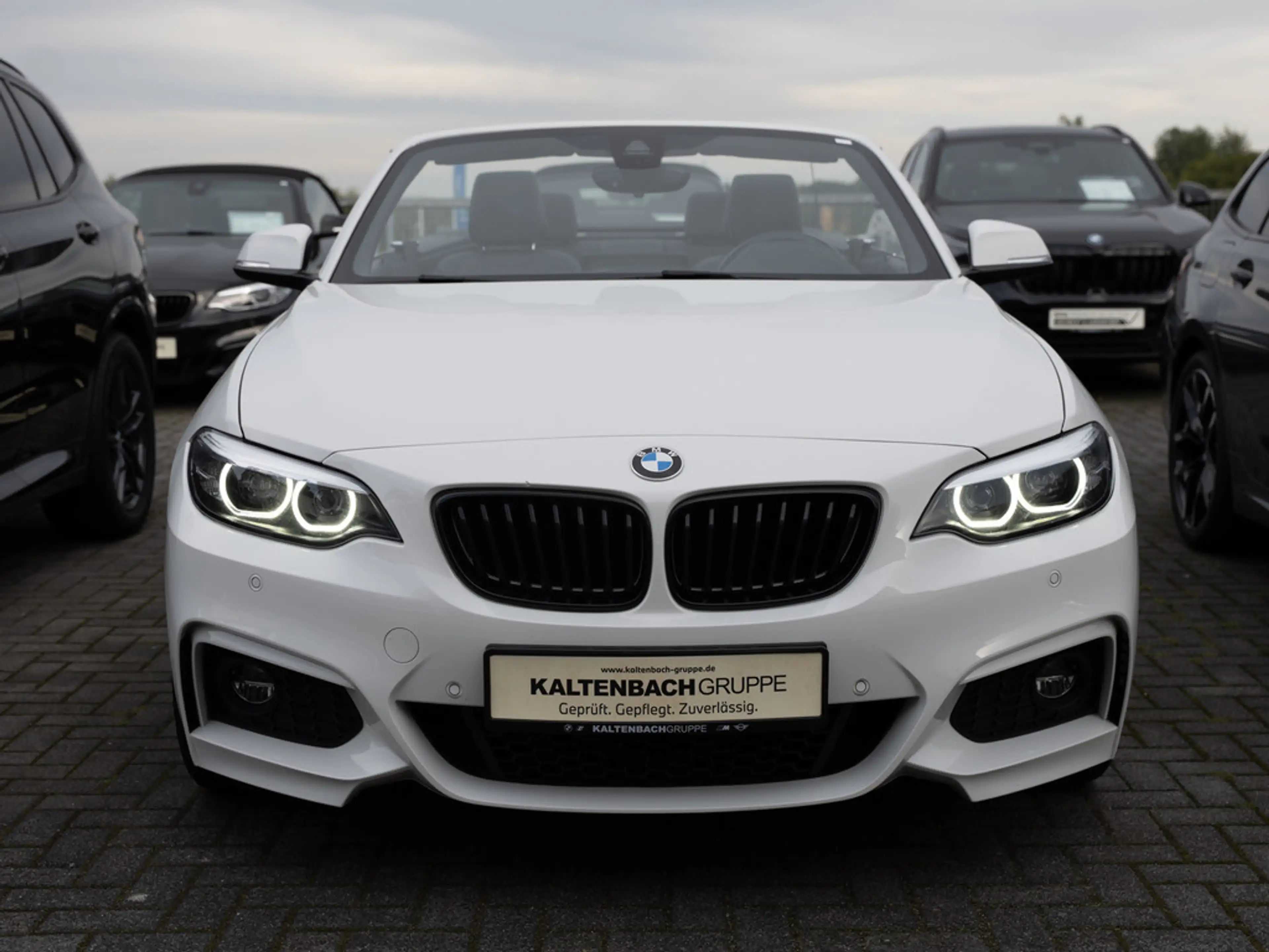 BMW 230 i Cabrio M-Sport FACEL. LED NAVI H/K SHZ — photo 3