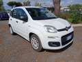 Fiat Panda Panda 1.3 MJT 95 CV S&S Lounge Bianco - thumbnail 7