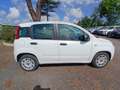 Fiat Panda Panda 1.3 MJT 95 CV S&S Lounge Bianco - thumbnail 6