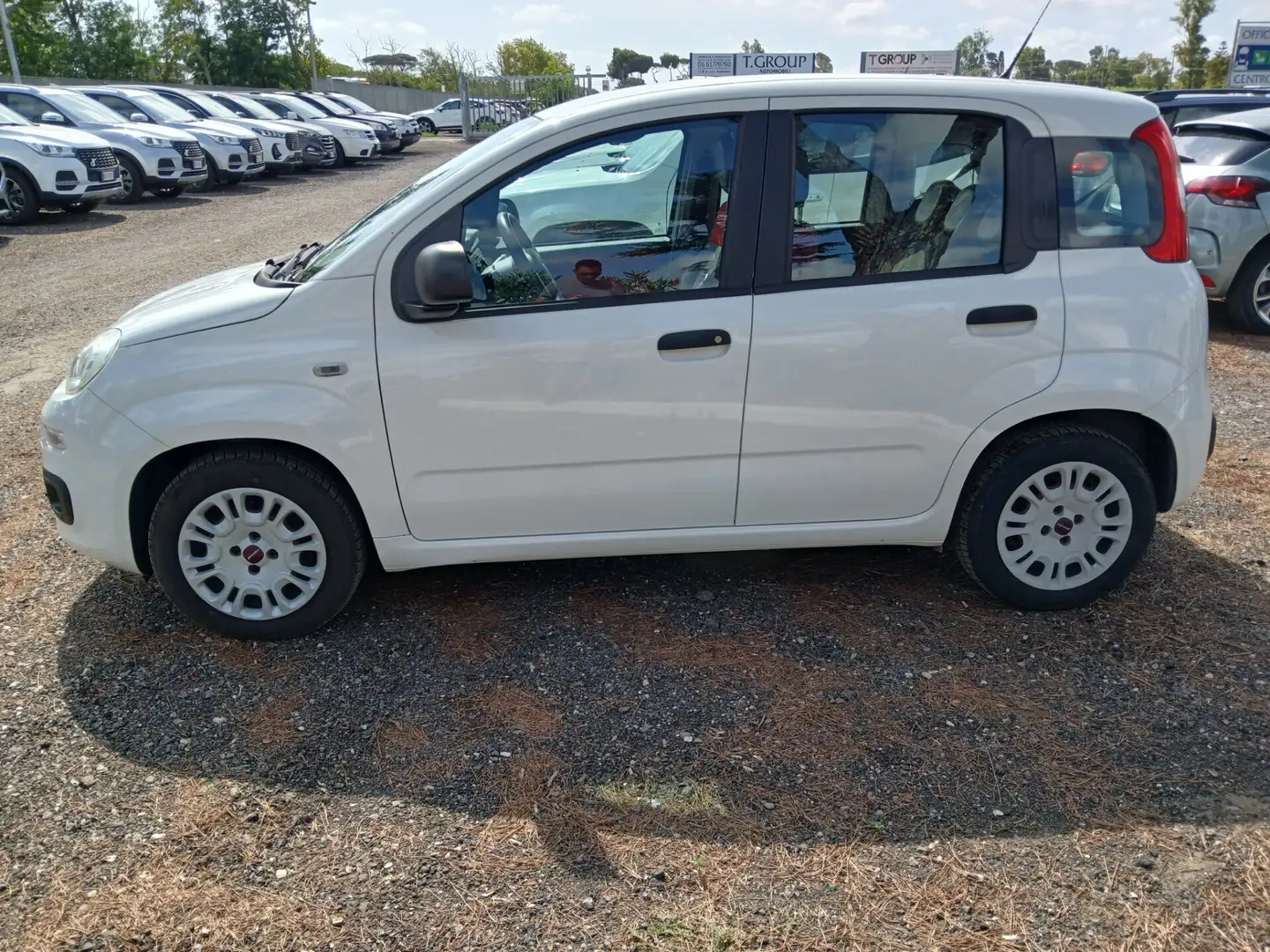 Fiat Panda Panda 1.3 MJT 95 CV S&S Lounge Bianco - 2