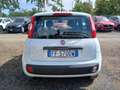 Fiat Panda Panda 1.3 MJT 95 CV S&S Lounge Bianco - thumbnail 4