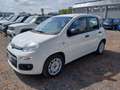 Fiat Panda Panda 1.3 MJT 95 CV S&S Lounge Bianco - thumbnail 1