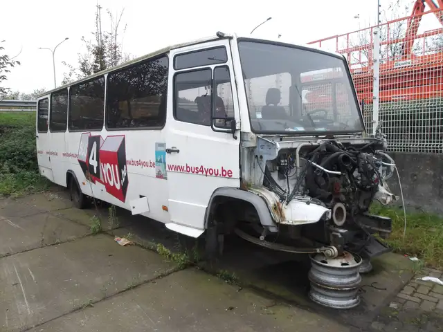 Mercedes-Benz Vario ( Stock ID 114 )