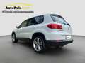 Volkswagen Tiguan 19"ALU MaM + NEUES PICKERL + Serviceheft Weiß - thumbnail 4