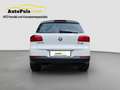 Volkswagen Tiguan 19"ALU MaM + NEUES PICKERL + Serviceheft Weiß - thumbnail 5