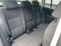 Volkswagen Tiguan 19"ALU MaM + NEUES PICKERL + Serviceheft Weiß - thumbnail 17