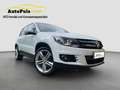 Volkswagen Tiguan 19"ALU MaM + NEUES PICKERL + Serviceheft Weiß - thumbnail 1