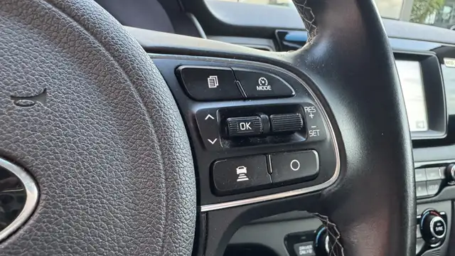 Kia Niro view 20