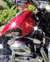 Harley-Davidson Sportster 1200 Czerwony - thumbnail 8