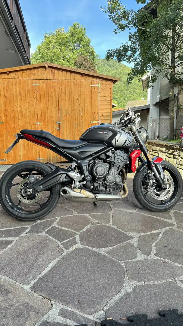 Triumph Trident 660 - 1