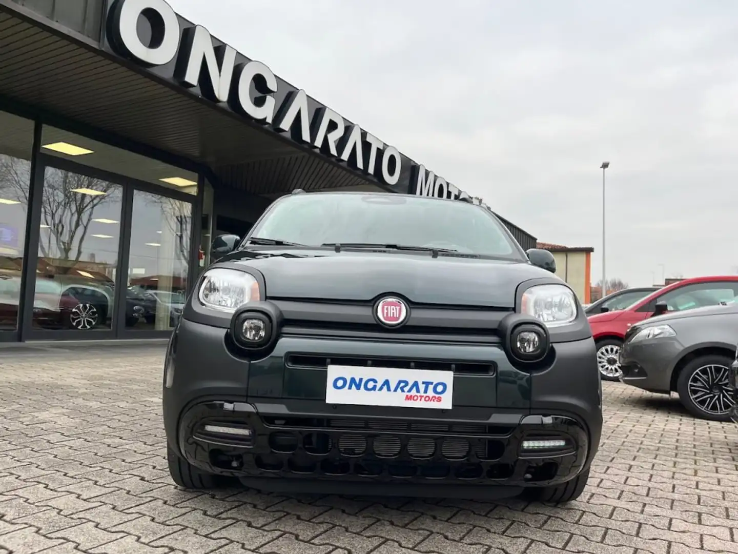 Fiat Panda 1.0 FireFly S&S Hybrid Pandina Cross #5posti #Ruotino Grün - 2