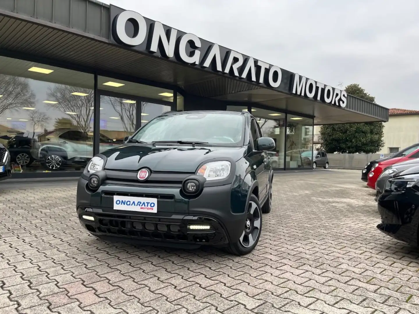 Fiat Panda 1.0 FireFly S&S Hybrid Pandina Cross #5posti #Ruotino Grün - 1