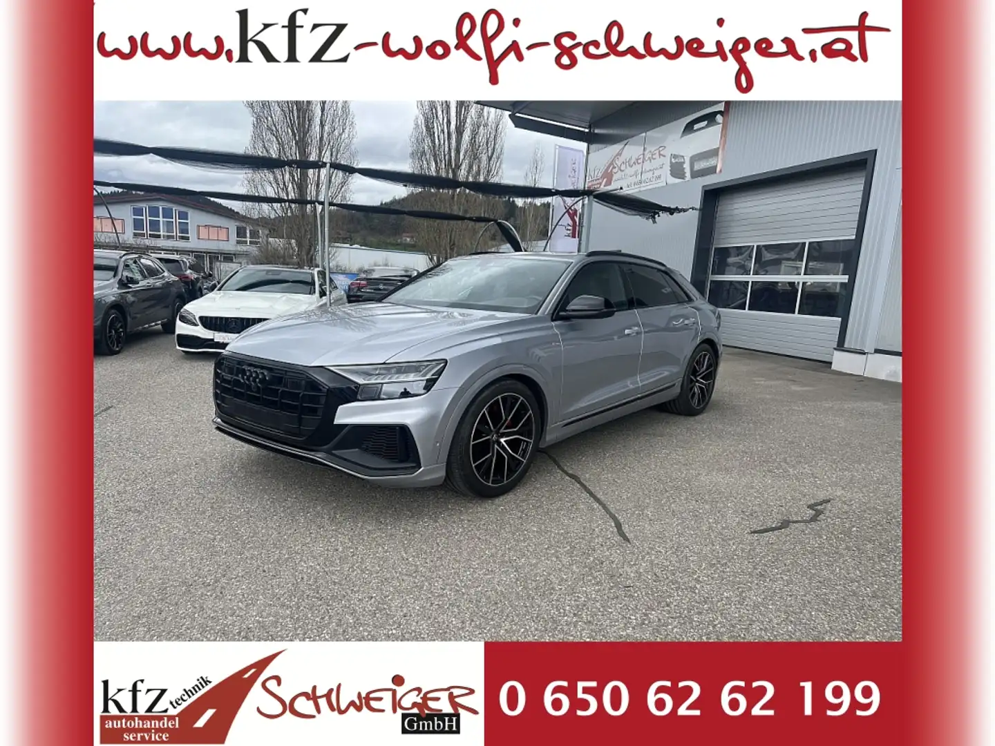 Audi Q8 50 MHEV TDI quattro Tiptronic Silber - 1