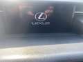 Lexus IS 300 IS 300h 2.5 Luxury cvt Tagliandi Lexus Grau - thumbnail 9
