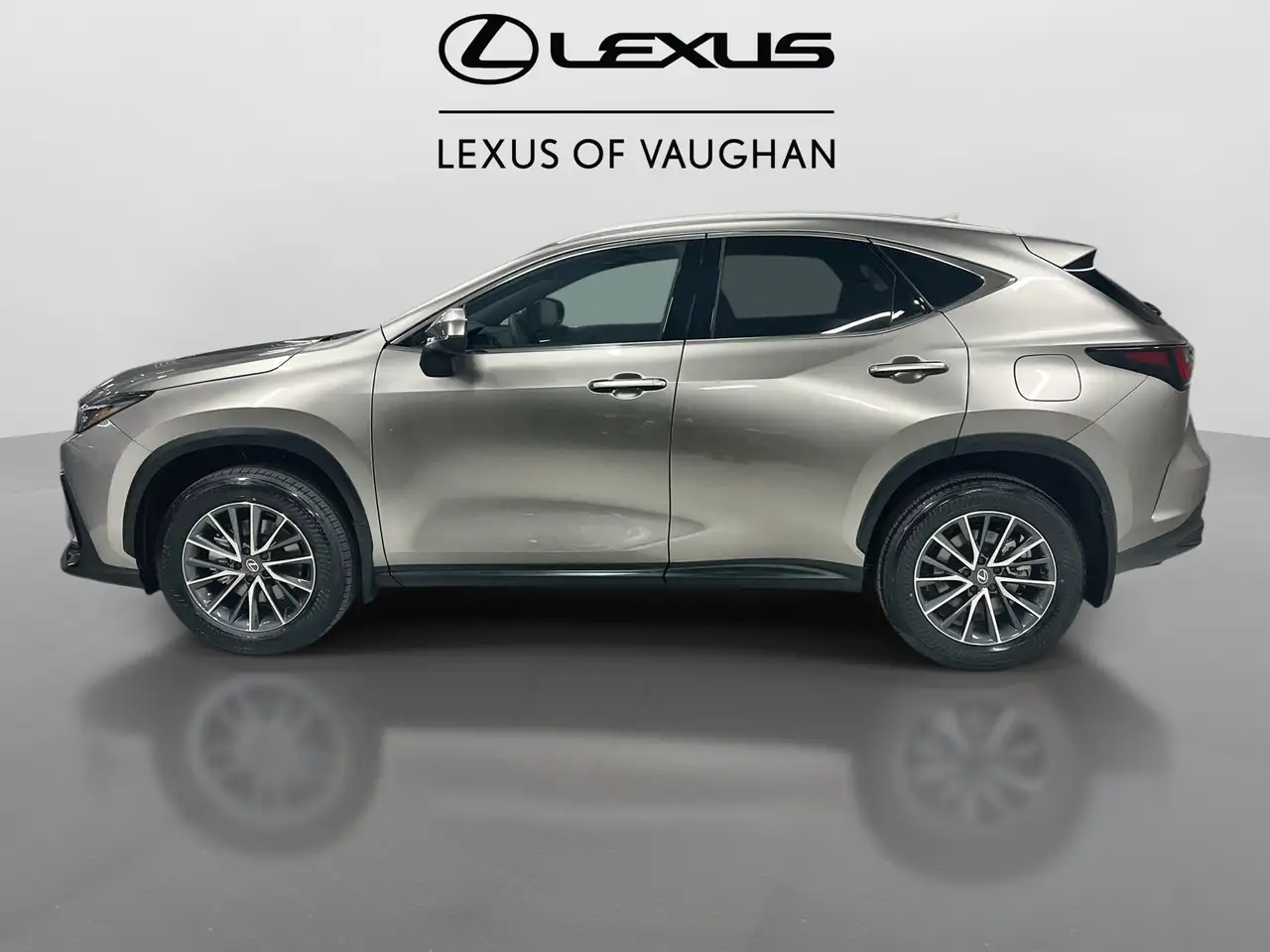 Lexus NX photo Lexus NX