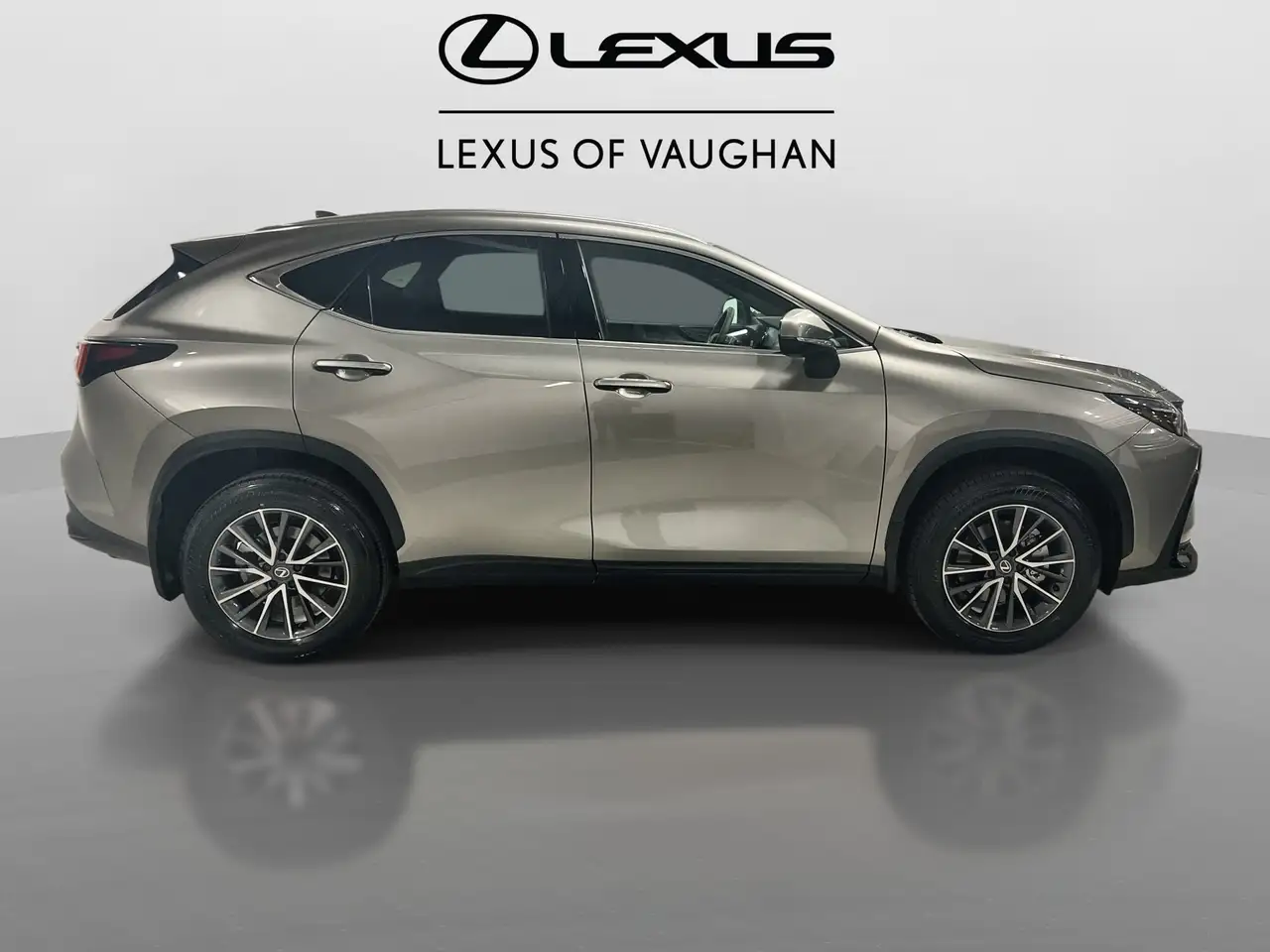 Lexus NX photo Lexus NX