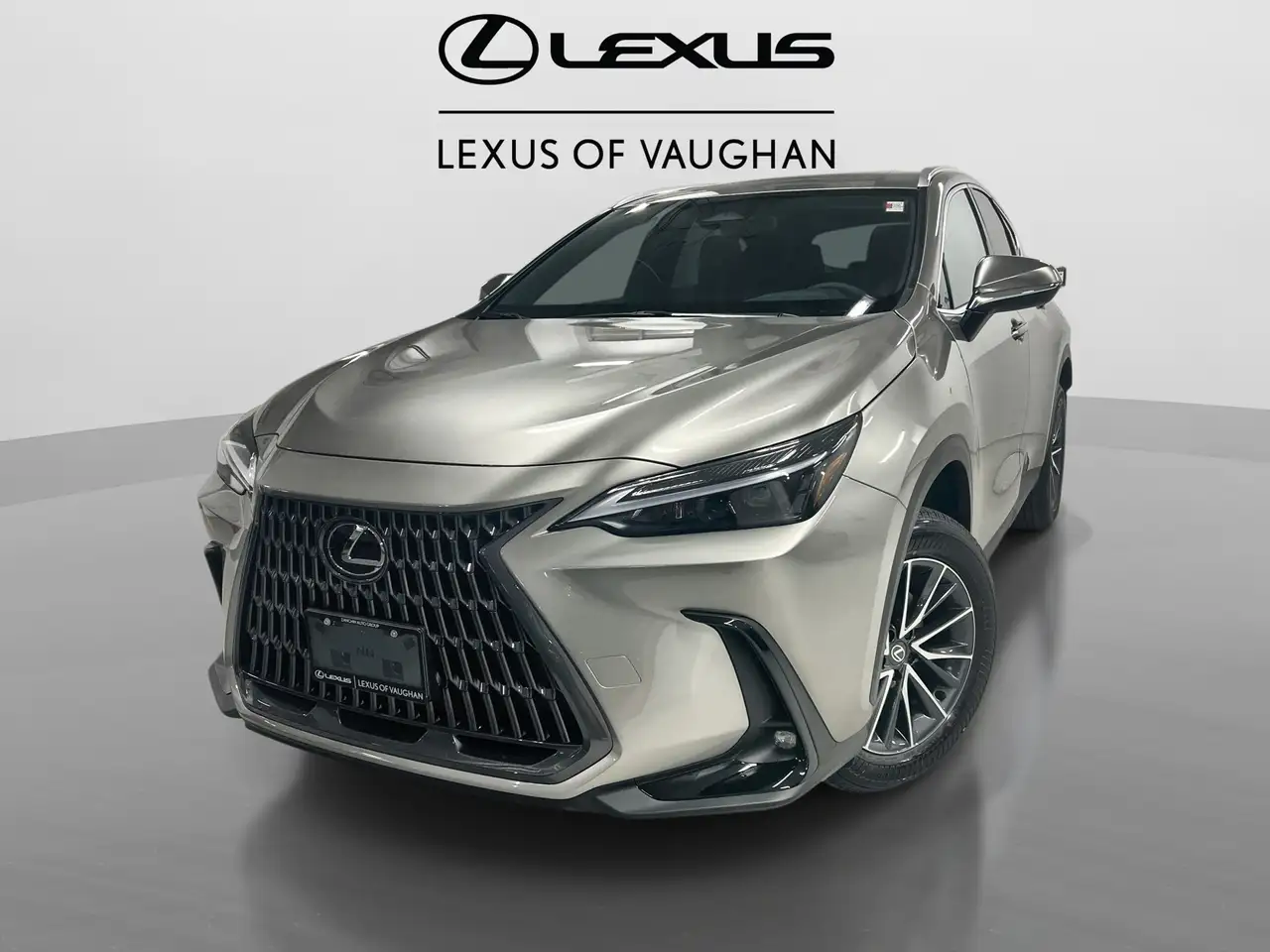 2026 Lexus NX