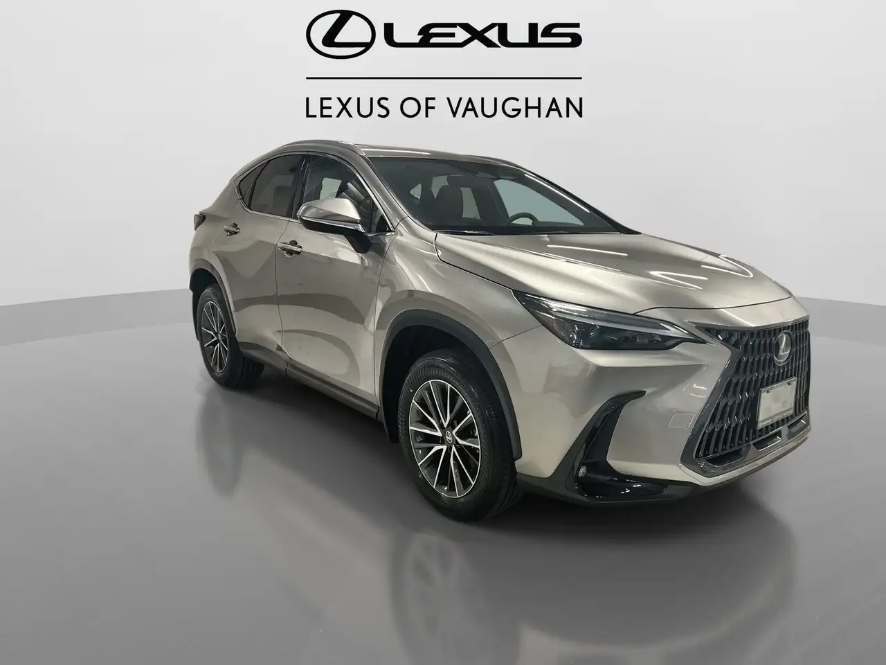 Lexus NX photo Lexus NX